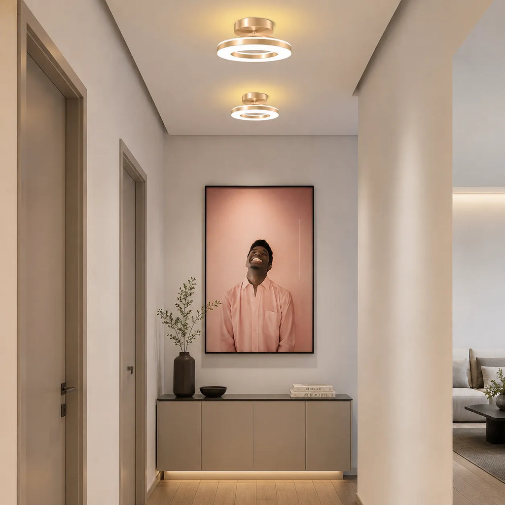 Viggo Modern Round Iron LED Ceiling Light