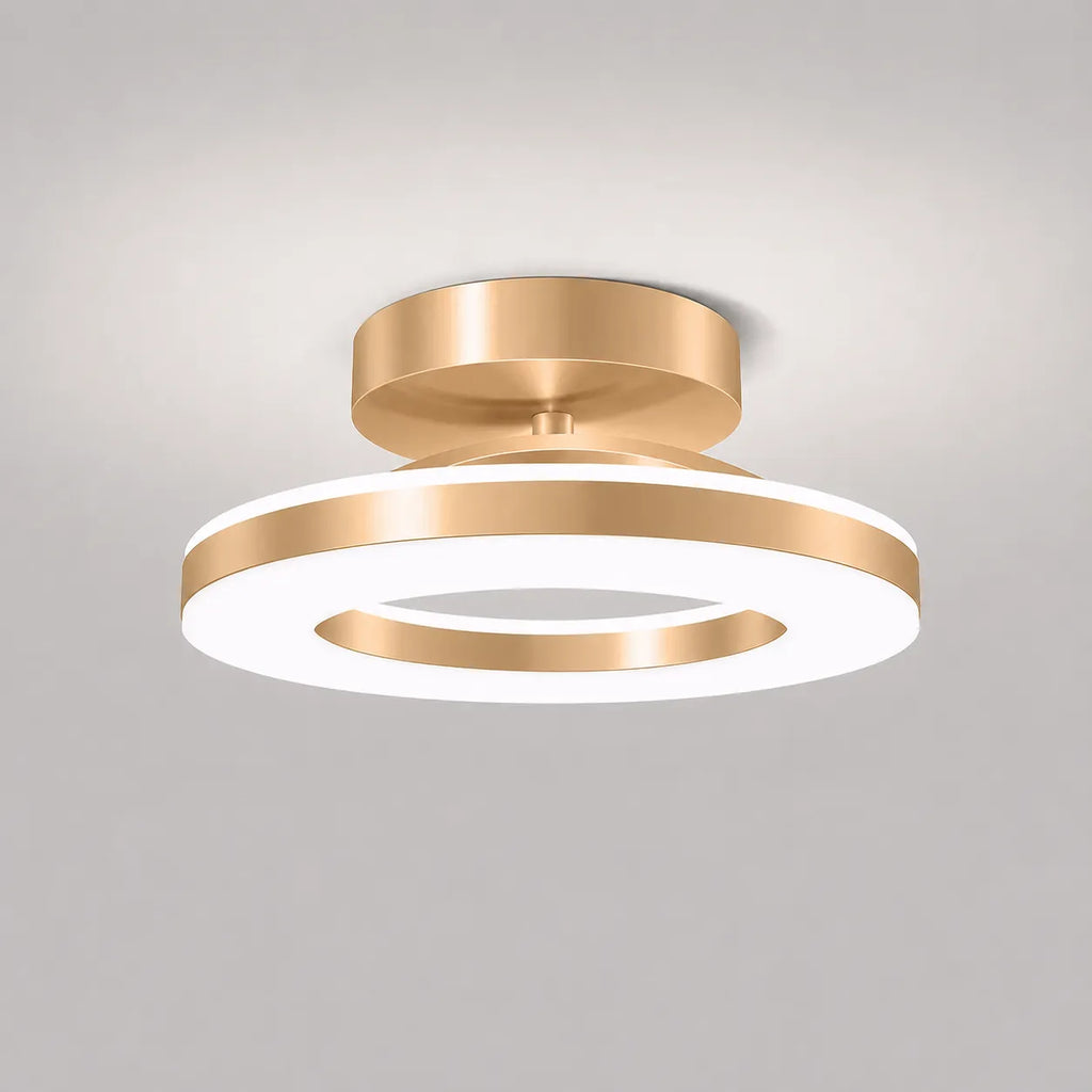Viggo Modern Round Iron LED Ceiling Light