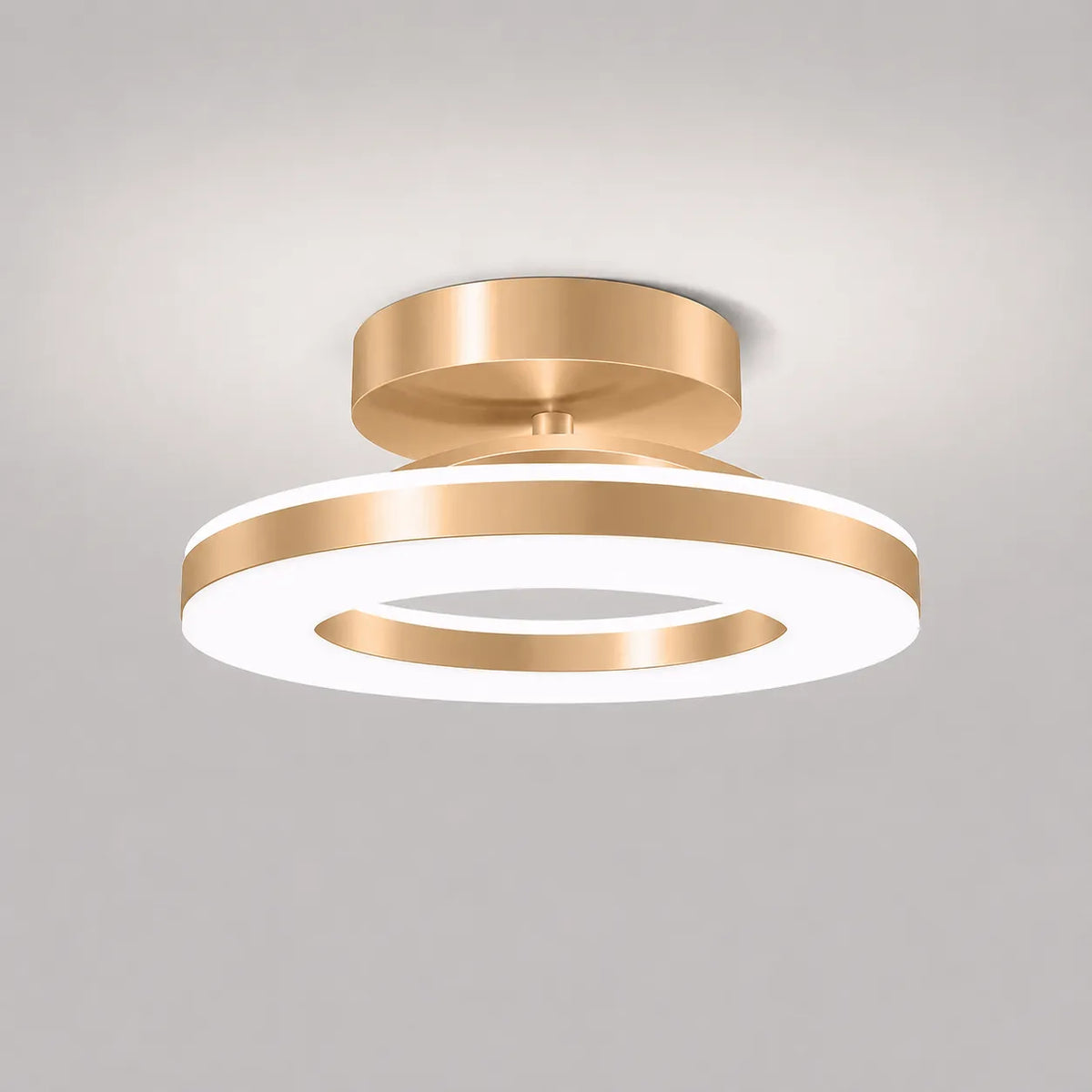 Viggo Modern Round Iron LED Ceiling Light