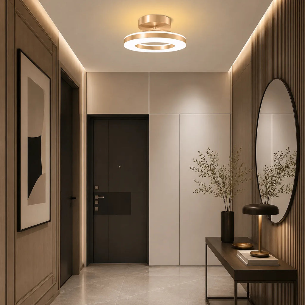 Viggo Modern Round Iron LED Ceiling Light