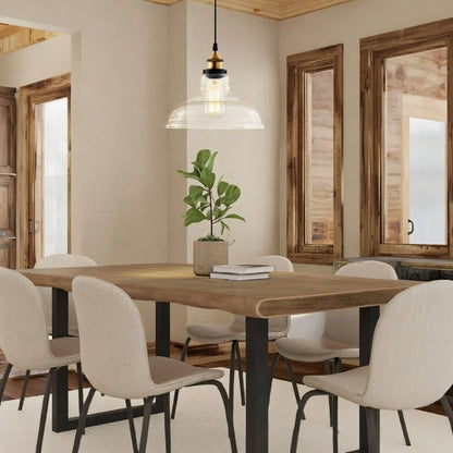 Single Dome Clear Glass Industrial Pendant Light