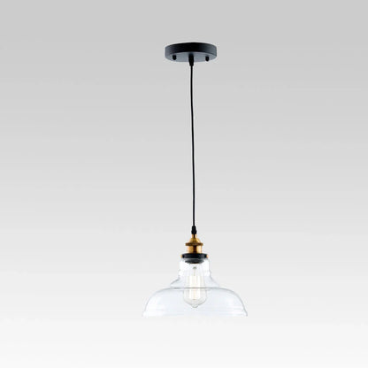 Single Dome Clear Glass Industrial Pendant Light