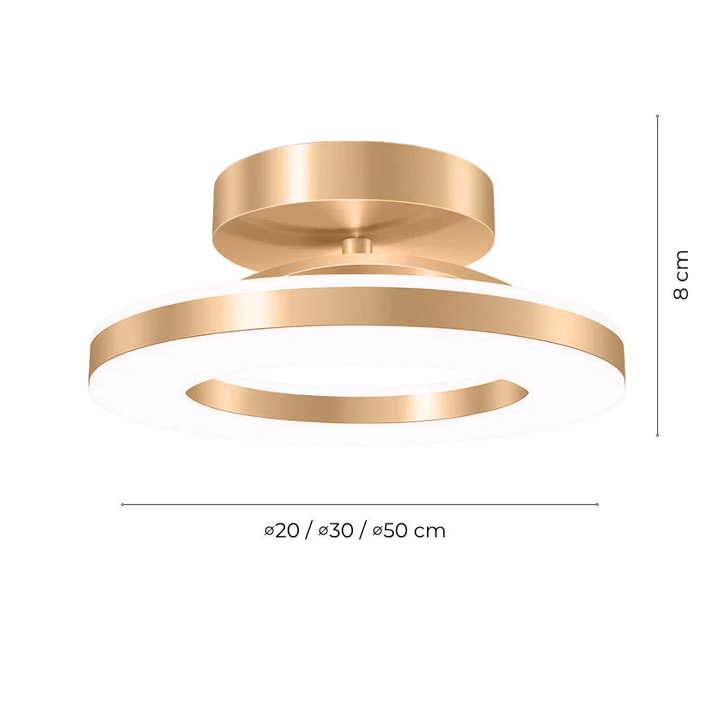 Modern Gold Iron LED Flush Mount Ceiling Light