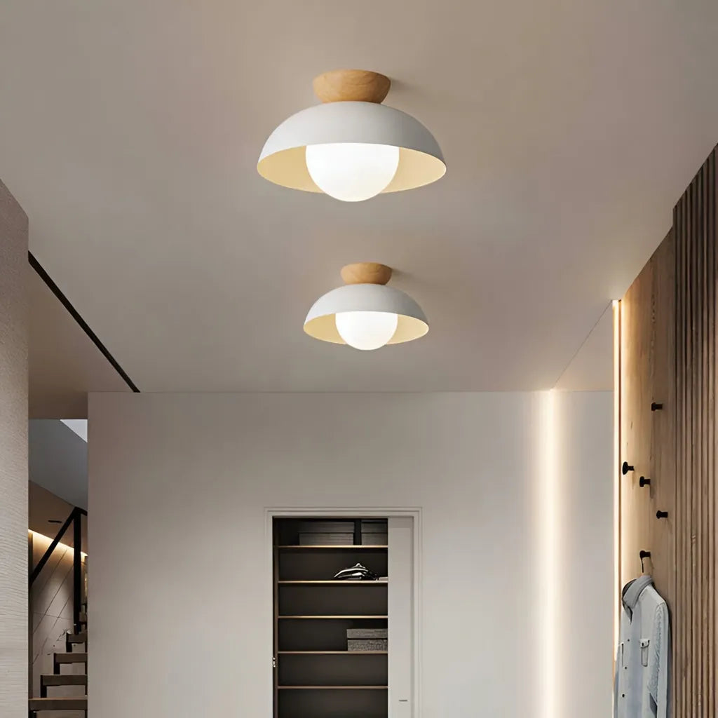 Nordic Minimalist Eco Iron Shade Ceiling Light