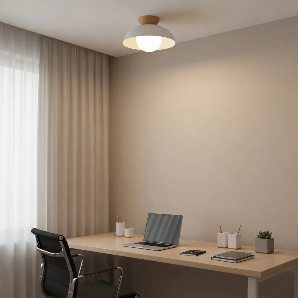 Nordic Minimalist Eco Iron Shade Ceiling Light