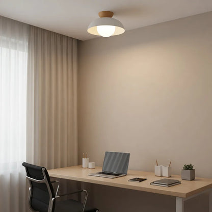 Nordic Minimalist Eco Iron Shade Ceiling Light