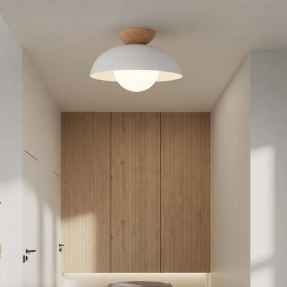 Nordic Minimalist Eco Iron Shade Ceiling Light
