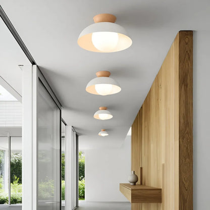 Nordic Minimalist Eco Iron Shade Ceiling Light