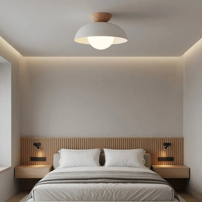 Nordic Minimalist Eco Iron Shade Ceiling Light