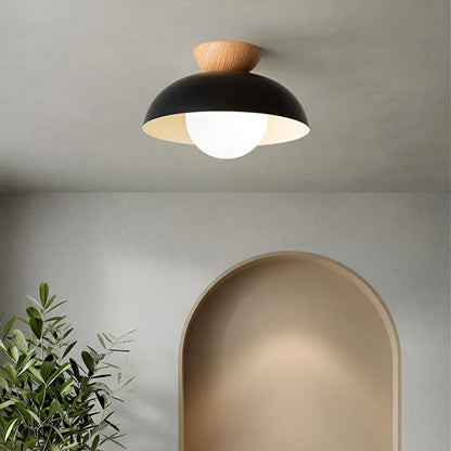 Nordic Minimalist Eco Iron Shade Ceiling Light