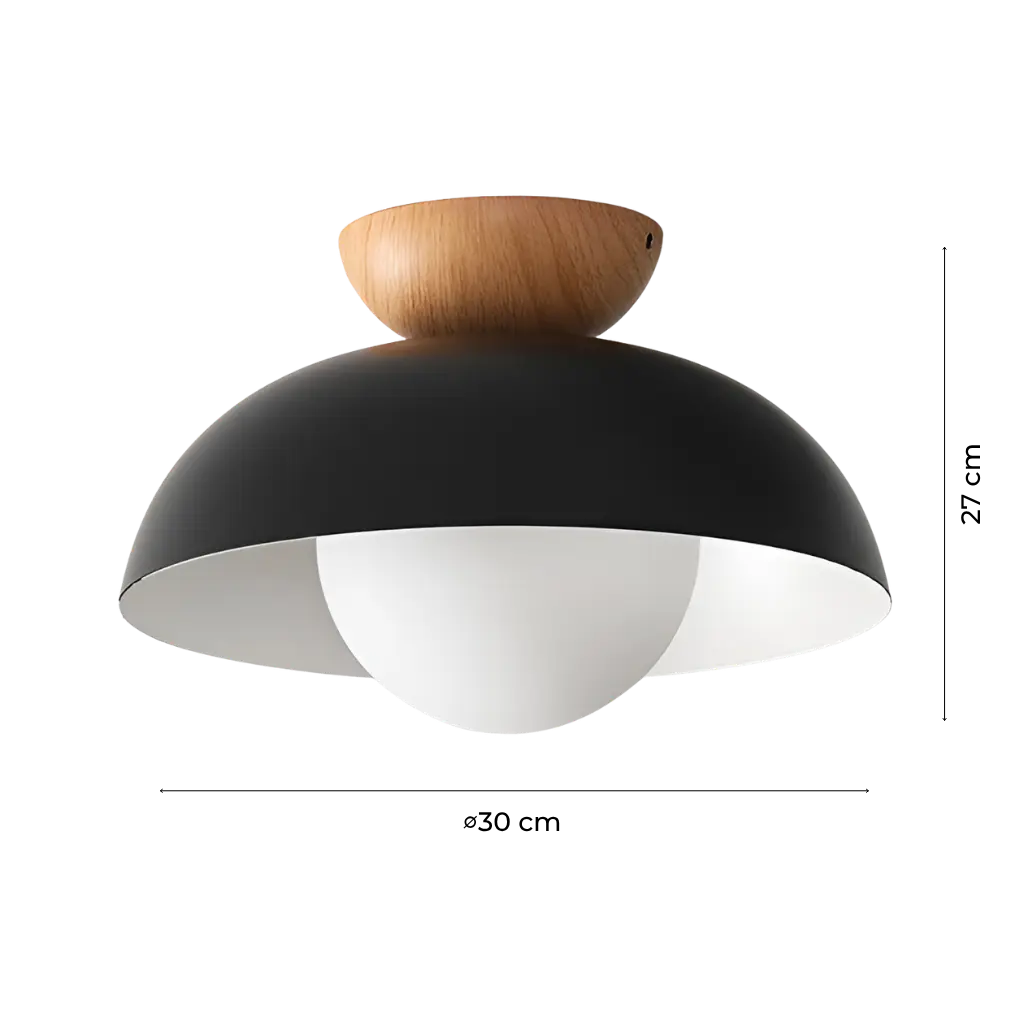 Nordic Minimalist Eco Iron Shade Ceiling Light