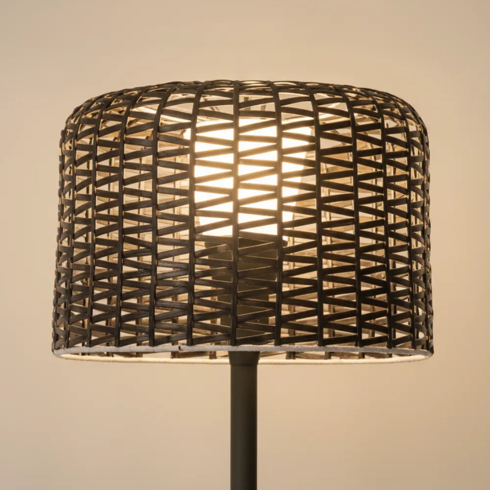 Aubin Solar Rattan LED Outdoor Floor Lamp