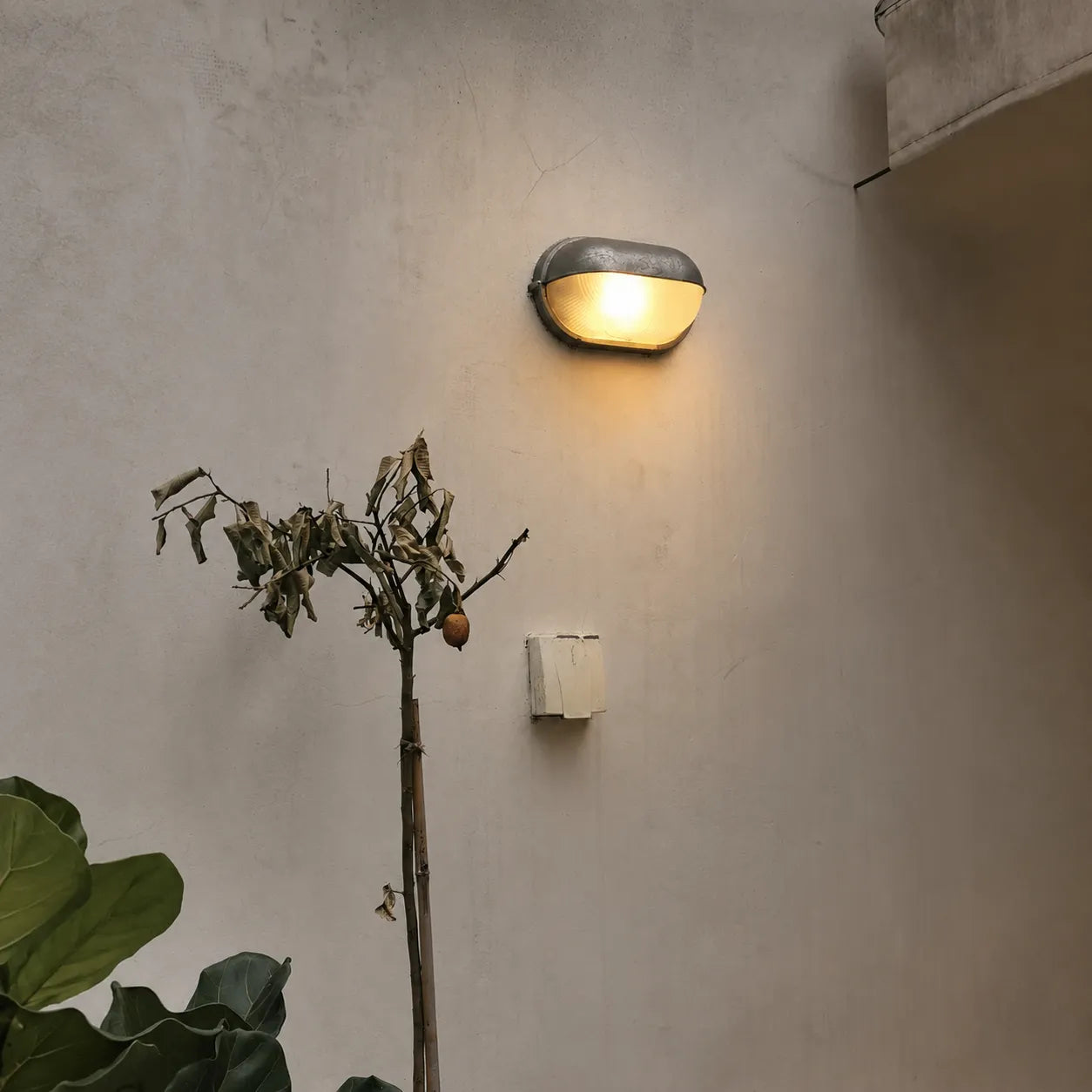 Strata Outdoor Bulkhead Light
