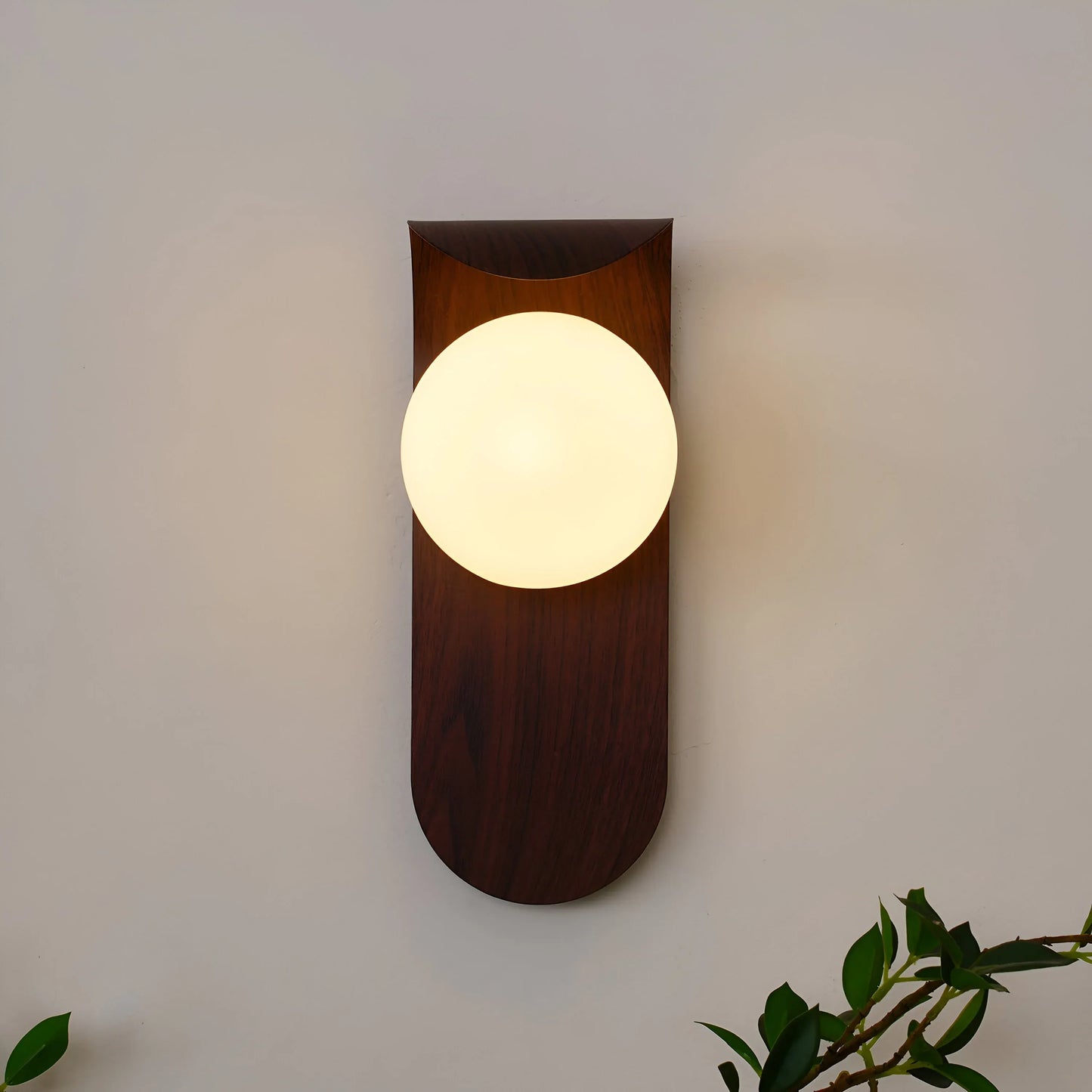 Wood Accent Wall Light with Frosted Glass Globe