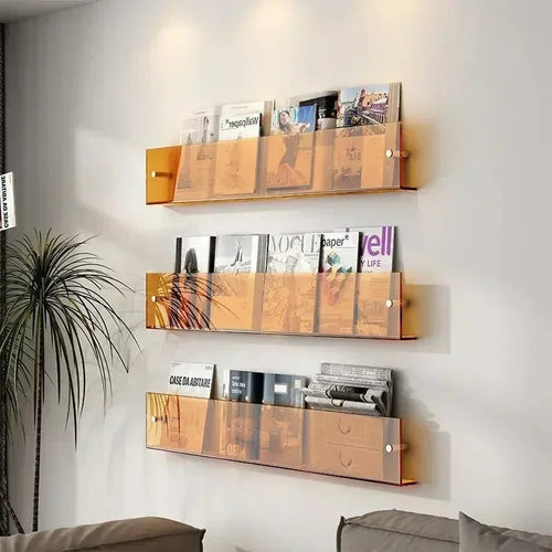 Acrylic Floating Shelf with Wall Mount and Front Barrier for Books and Magazines - Image 1