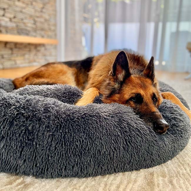 Calming Donut Dog Bed with Plush Raised Rim and Round Nest Design - Image 1