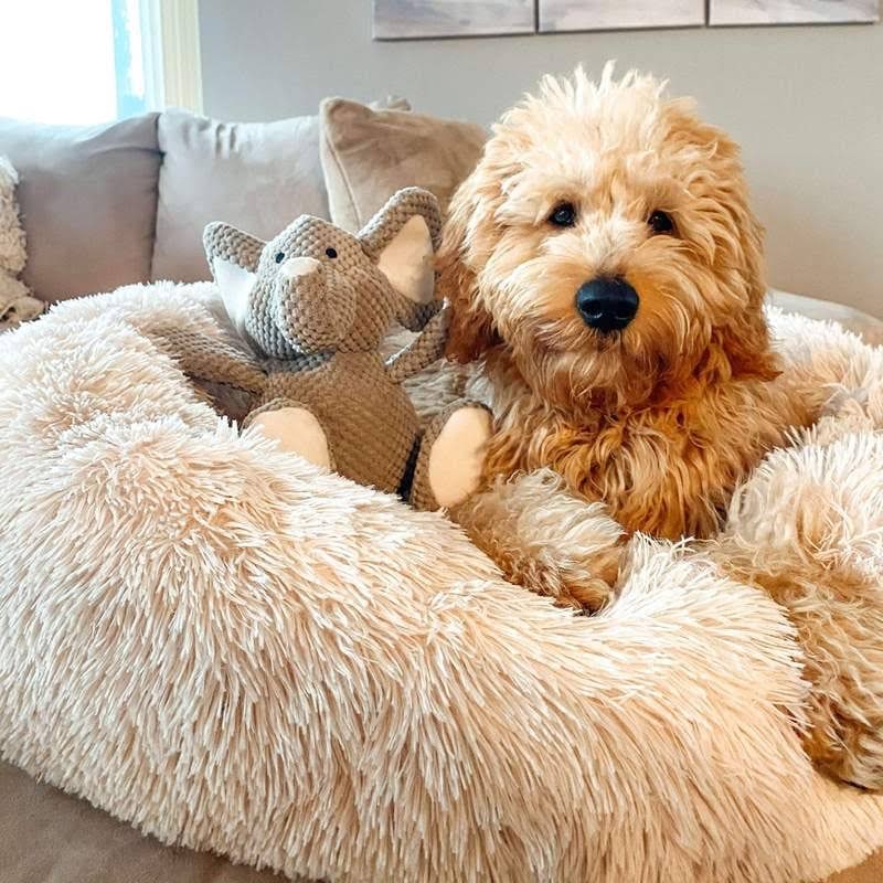 Calming Donut Dog Bed with Plush Raised Rim and Round Nest Design - Image 11