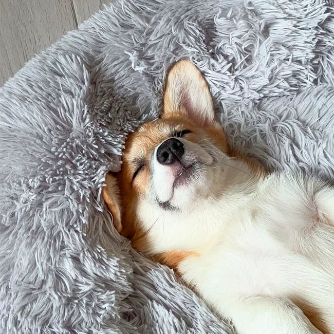 Calming Donut Dog Bed with Plush Raised Rim and Round Nest Design - Image 3