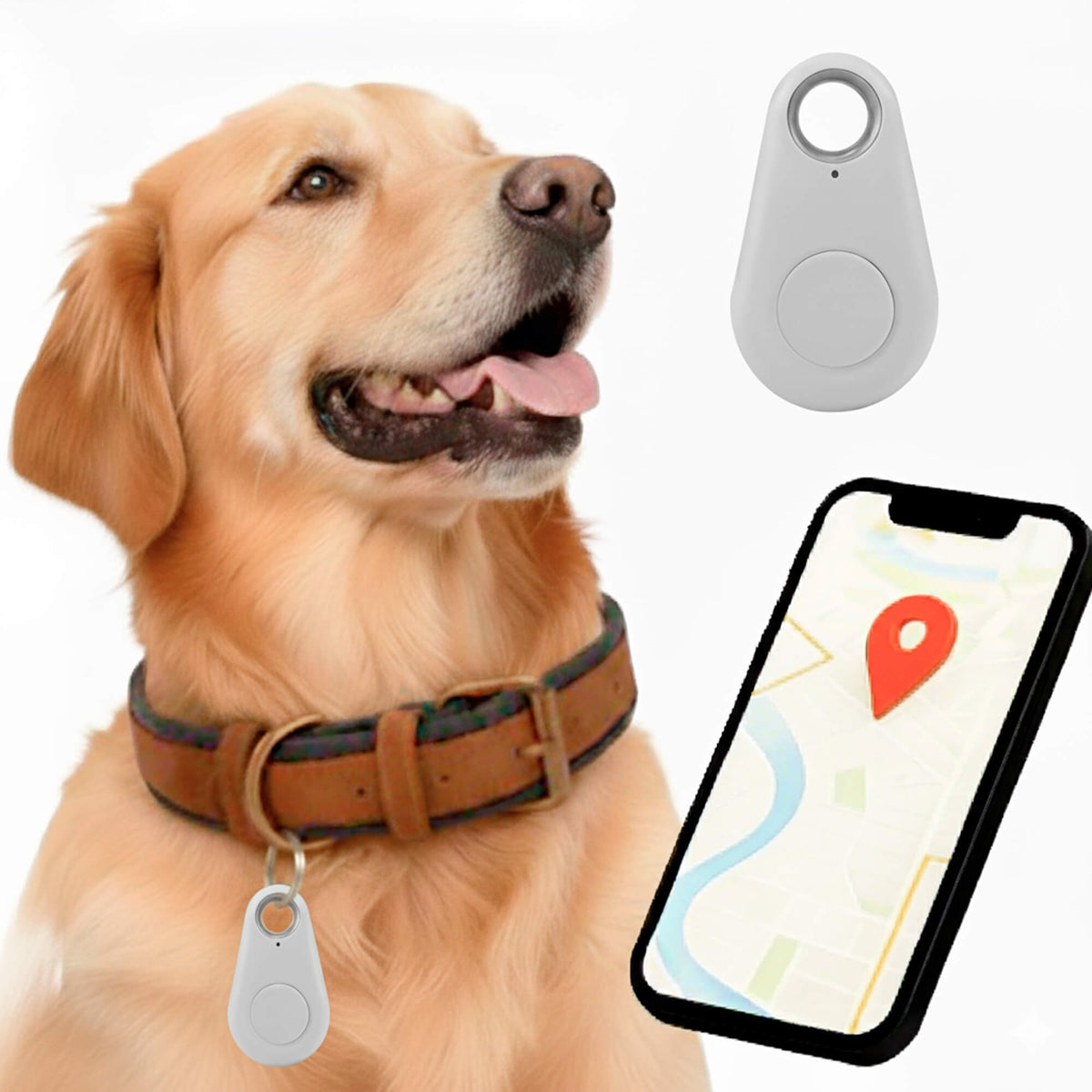 Dog GPS Tracker with Real-Time Location Updates and Compact Collar Design - Image 13