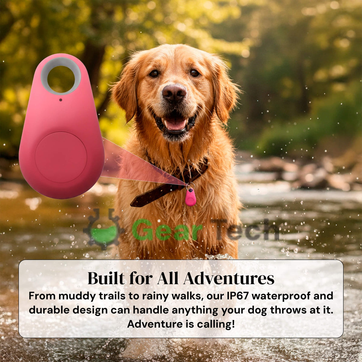 Dog GPS Tracker with Real-Time Location Updates and Compact Collar Design - Image 5