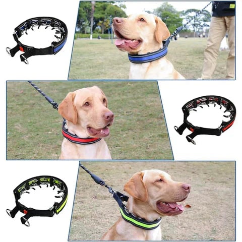 Dog Prong Training Collar with Reflective Cover and Rubber Tips for Controlled Walks - Image 3