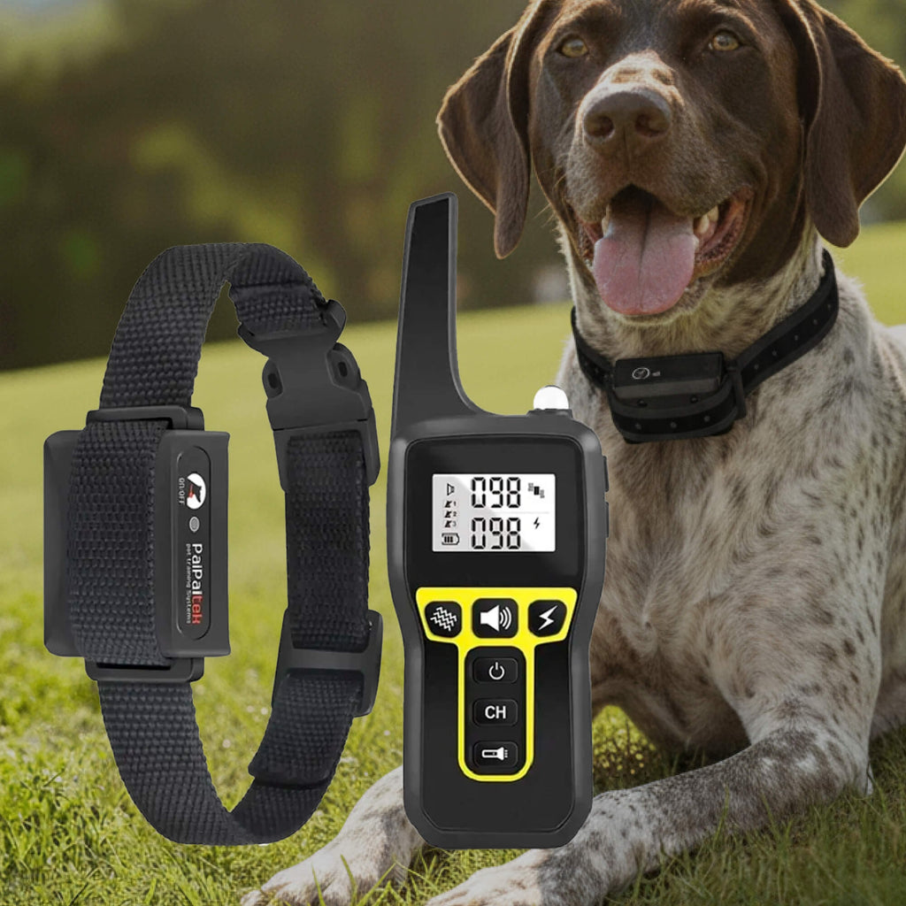 Dog Training Collar with Remote Control Waterproof Receiver and Lcd Display - Image 12