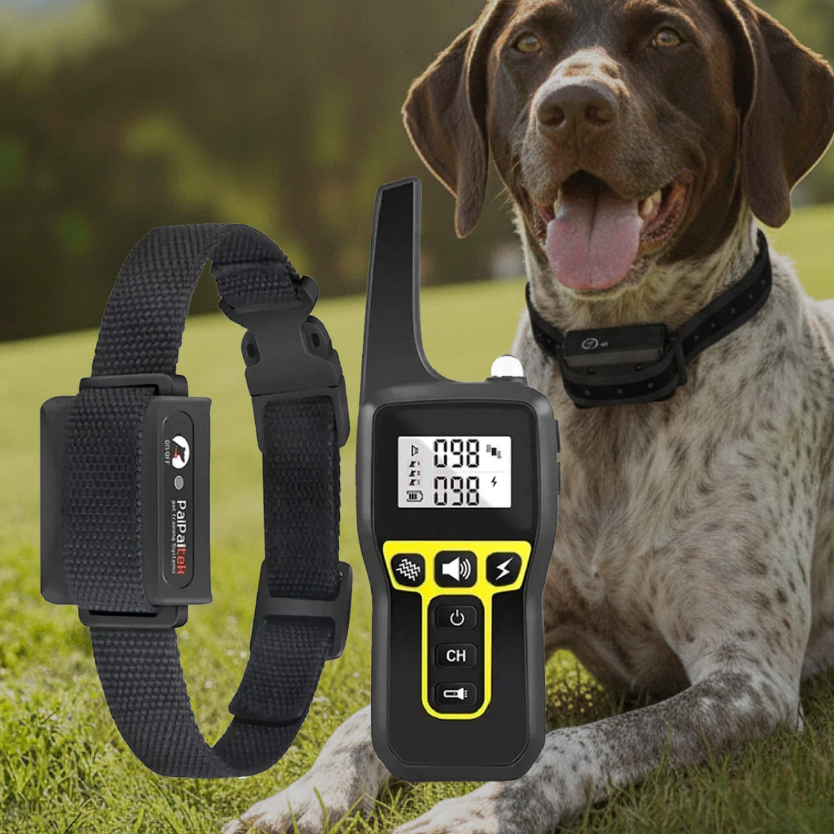 Dog Training Collar with Remote Control Waterproof Receiver and Lcd Display - Image 12
