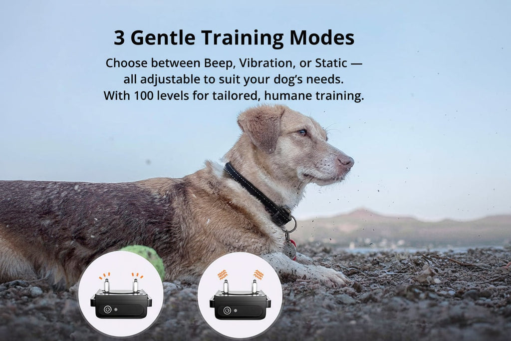 Dog Training Collar with Remote Control Waterproof Receiver and Lcd Display - Image 2