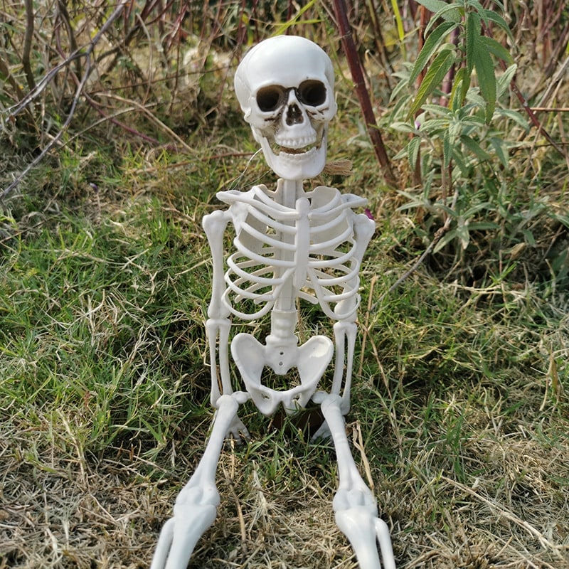 Halloween Skeleton Decoration Posable Plastic Prop with Movable Jaw for Outdoor Yard Display - Image 1