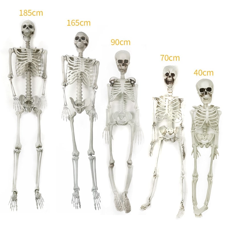Halloween Skeleton Decoration Posable Plastic Prop with Movable Jaw for Outdoor Yard Display - Image 3