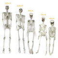 Halloween Skeleton Decoration Posable Plastic Prop with Movable Jaw for Outdoor Yard Display - Image 3
