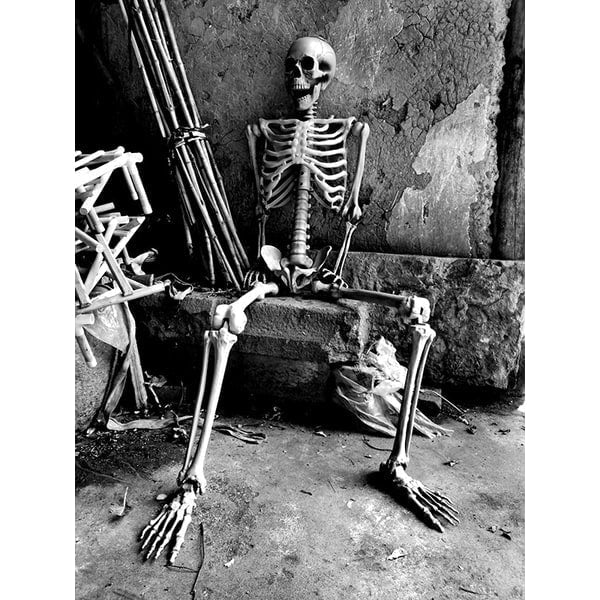 Halloween Skeleton Decoration Posable Plastic Prop with Movable Jaw for Outdoor Yard Display - Image 4