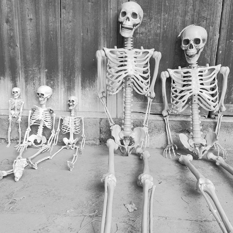 Halloween Skeleton Decoration Posable Plastic Prop with Movable Jaw for Outdoor Yard Display - Image 5