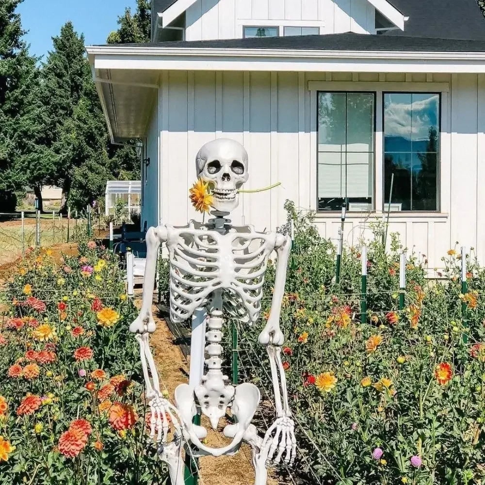 Halloween Skeleton Decoration with Poseable Joints for Outdoor Party and Haunted House Display - Image 1