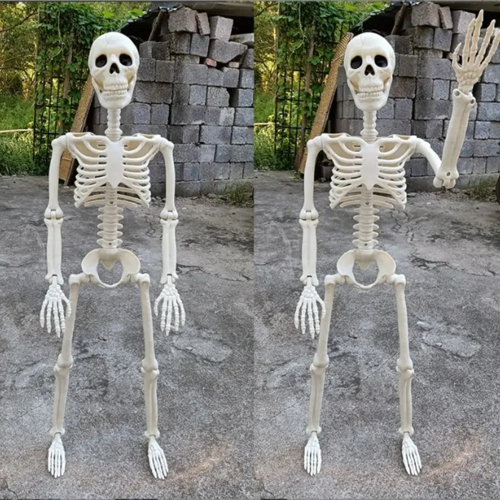 Halloween Skeleton Decoration with Poseable Joints for Outdoor Party and Haunted House Display - Image 3