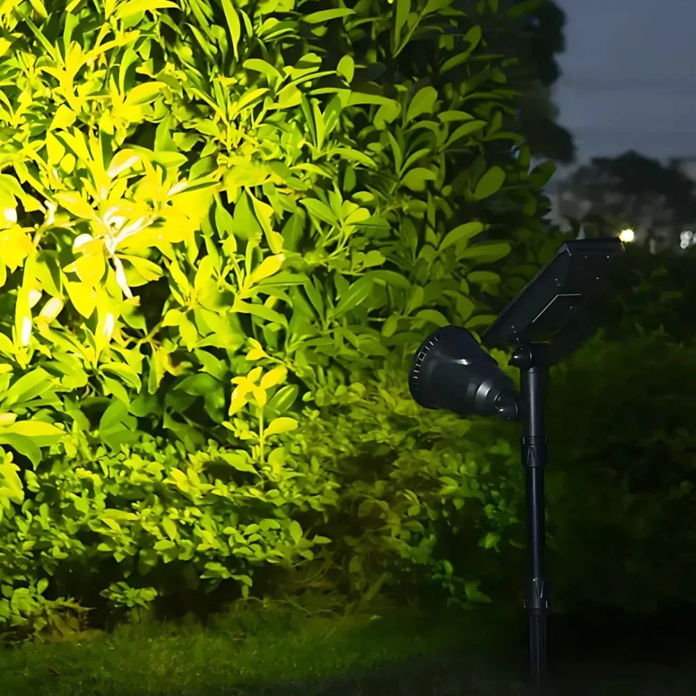 Outdoor Solar Lights with Adjustable Spotlight Head and Waterproof LED Landscape Lighting - Image 15