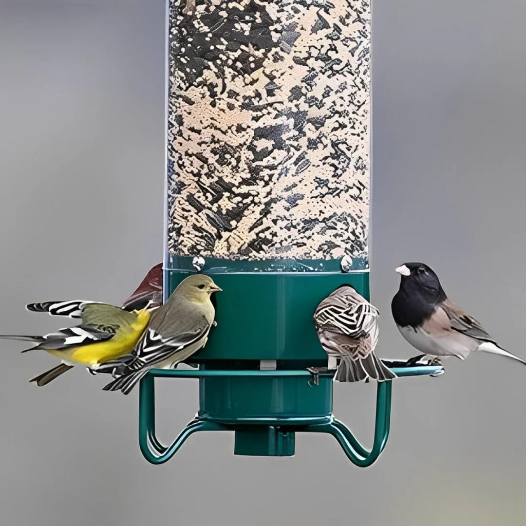 Squirrel Proof Bird Feeder with Weight Activated Spinning Perch and Hanging Tube Design - Image 5