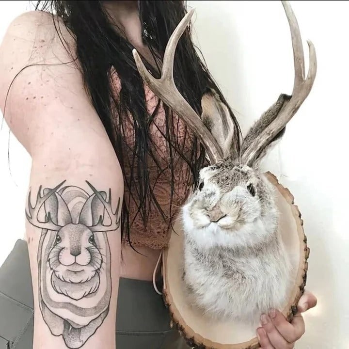 Taxidermy Jackalope Wall Mount on Wooden Plaque with Realistic Antlers - Image 3