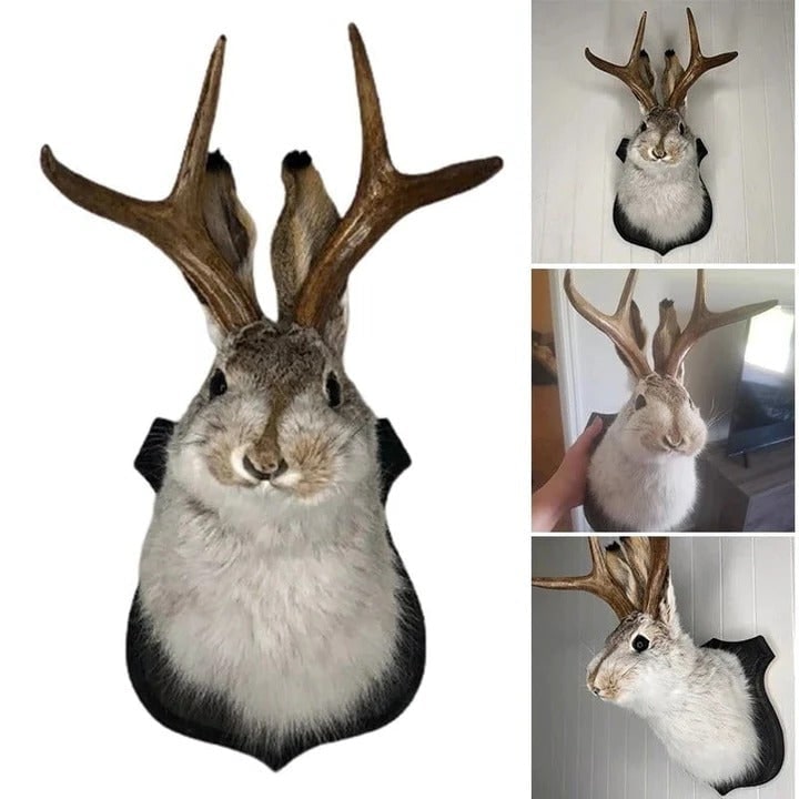 Taxidermy Jackalope Wall Mount on Wooden Plaque with Realistic Antlers - Image 4