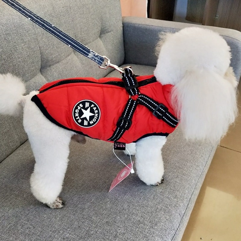 Waterproof Dog Coat with Harness Padded Puffer Jacket for Cold Weather - Image 10