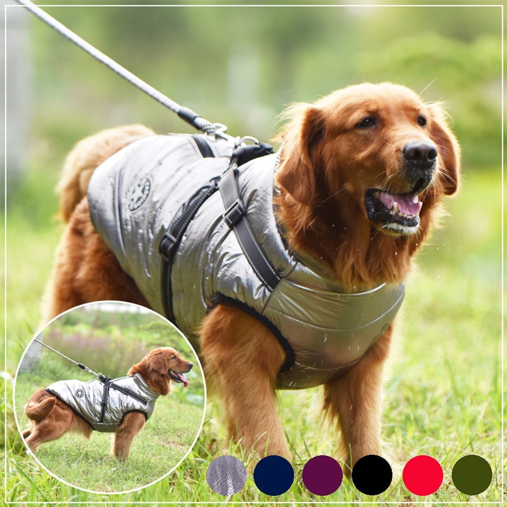 Waterproof Dog Coat with Harness Padded Puffer Jacket for Cold Weather - Image 13