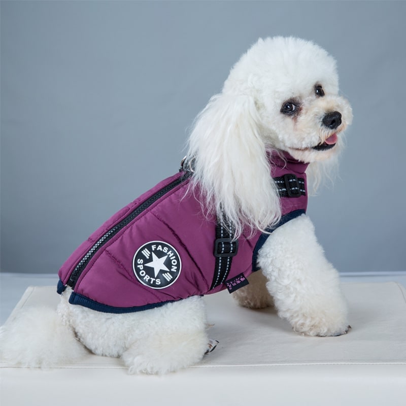 Waterproof Dog Coat with Harness Padded Puffer Jacket for Cold Weather - Image 8